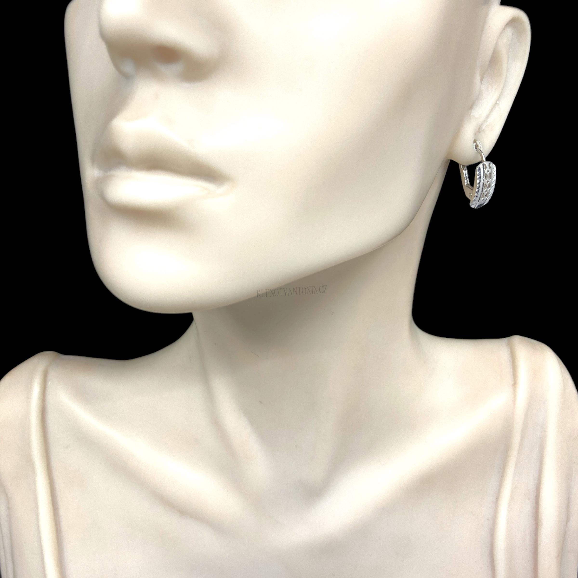 Visací náušnice z bílého zlata 195210 (Au 585/1000, 1,85g)